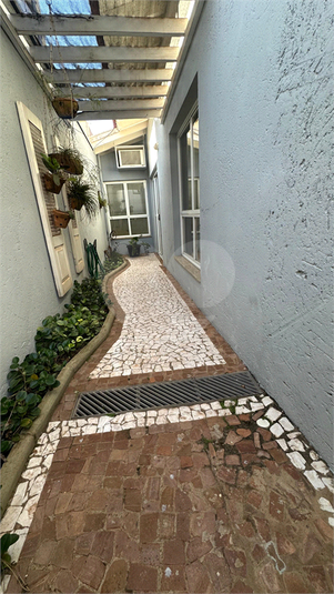 Foto REO1113335