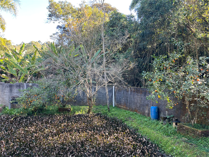 Foto REO1113340