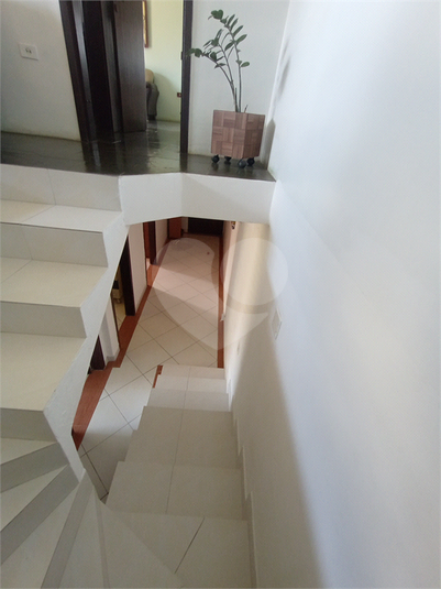 Foto REO1113344