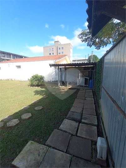 Foto REO1113344