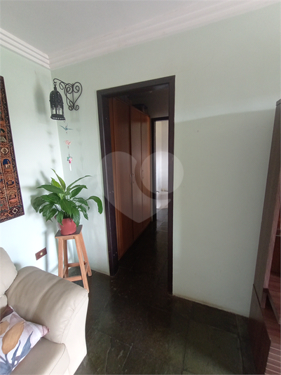 Foto REO1113344