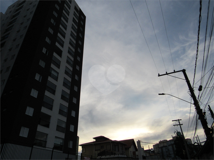 Foto REO1113348