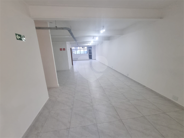 Foto REO1113349