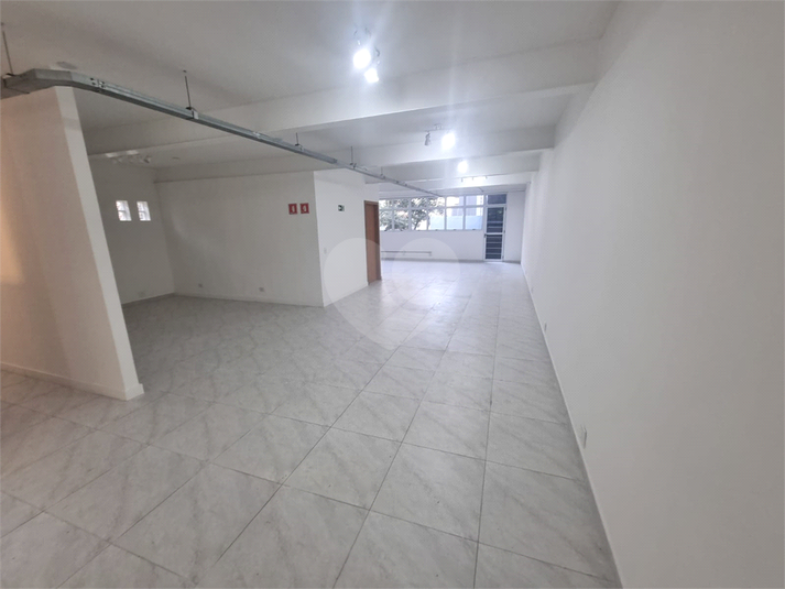 Foto REO1113349