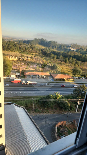Foto REO1113352