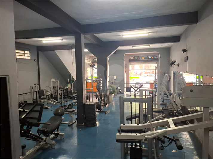 Foto REO1113367