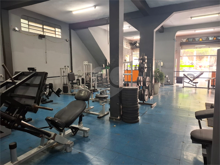 Foto REO1113367