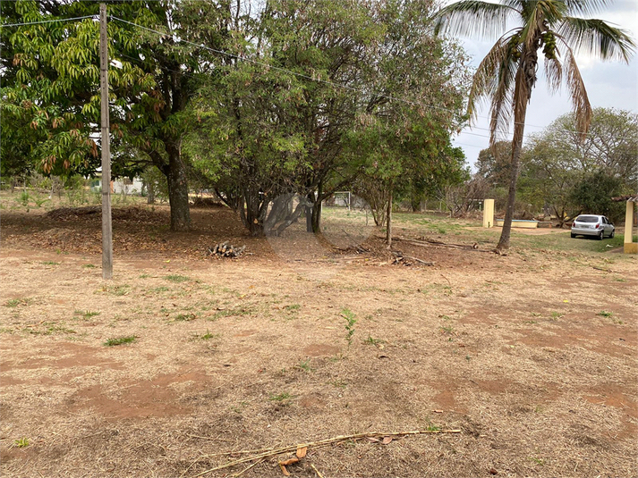 Foto REO1113368