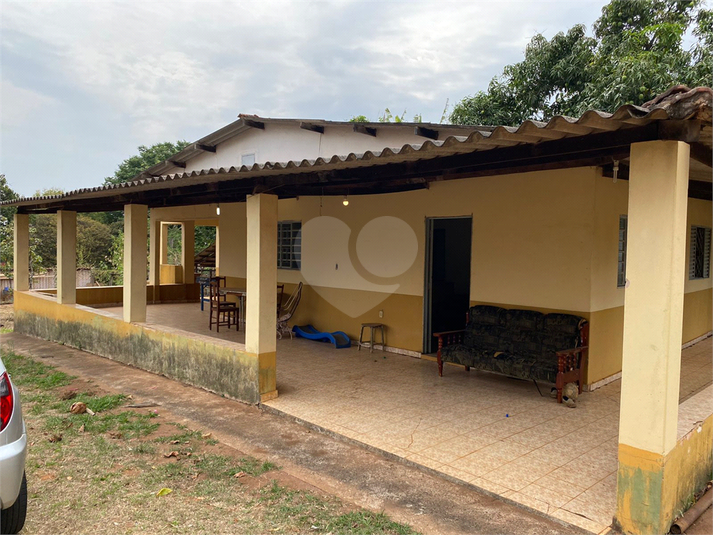 Foto REO1113368