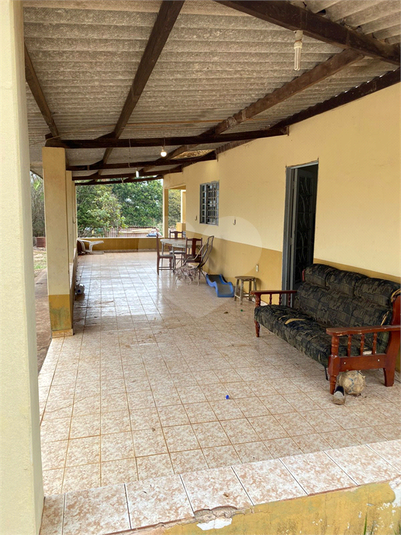 Foto REO1113368