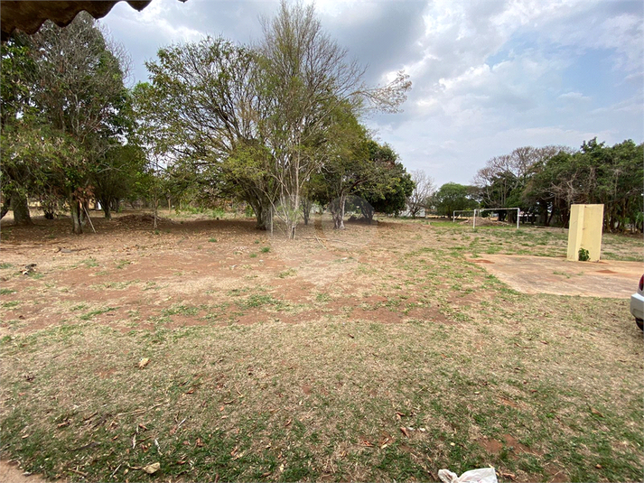 Foto REO1113368