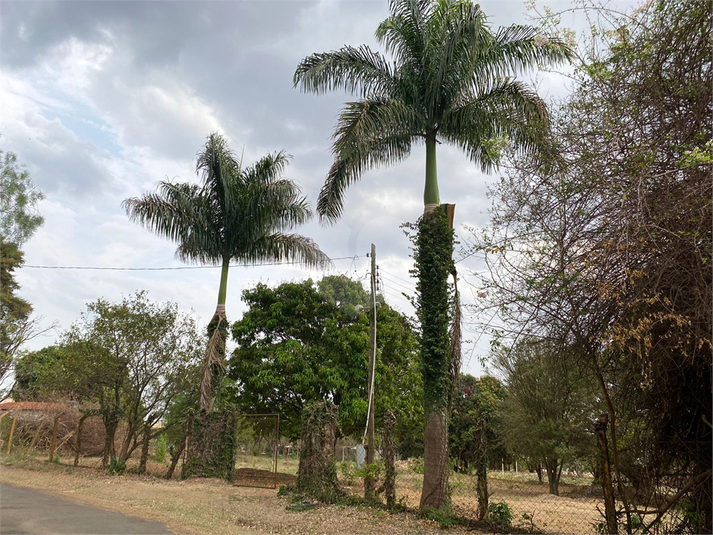 Foto REO1113368