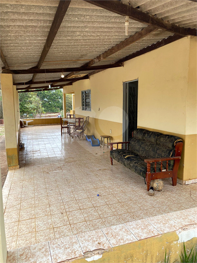 Foto REO1113368