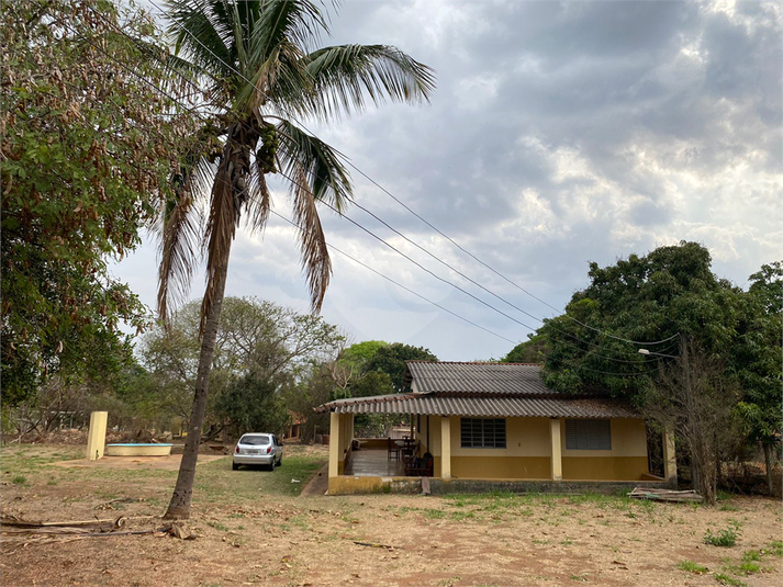Foto REO1113368