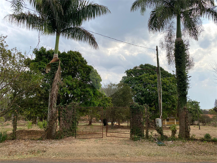 Foto REO1113368