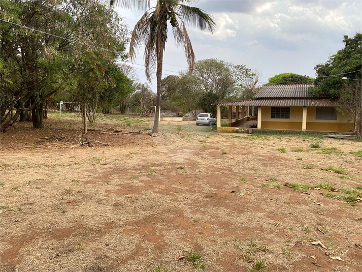 Foto REO1113368