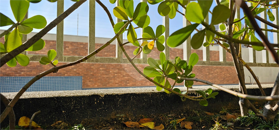 Foto REO1113372