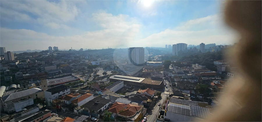 Foto REO1113372