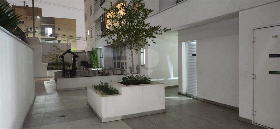 Foto REO1113372