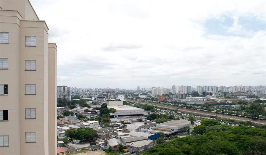 Foto REO1113380