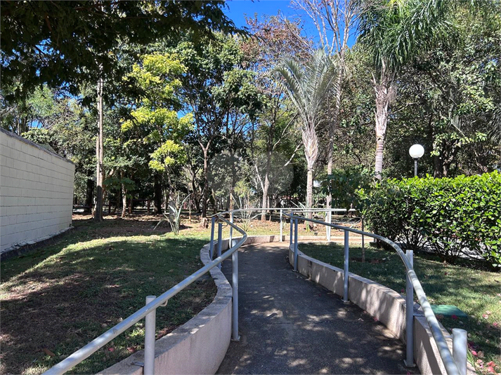 Foto REO1113382