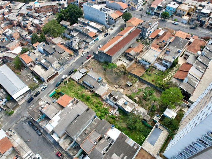Foto REO1113384
