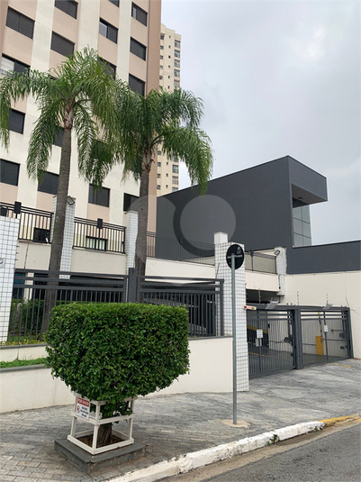 Foto REO1113386