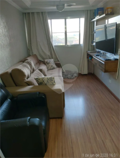 Foto REO1113392