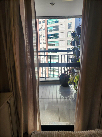Foto REO1113394