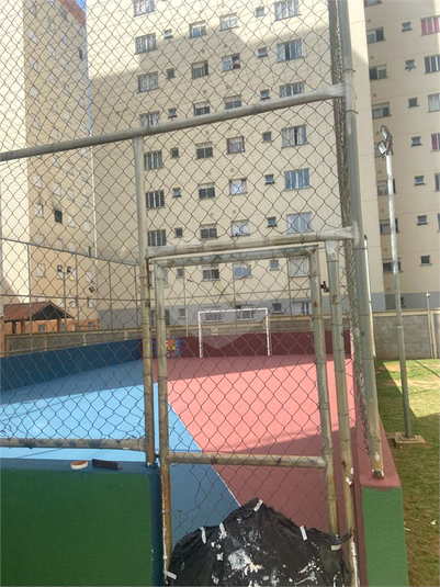 Foto REO1113398