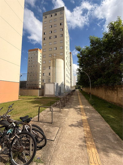 Foto REO1113398