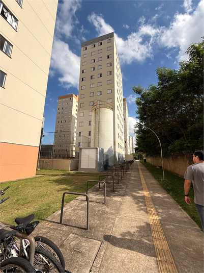 Foto REO1113398