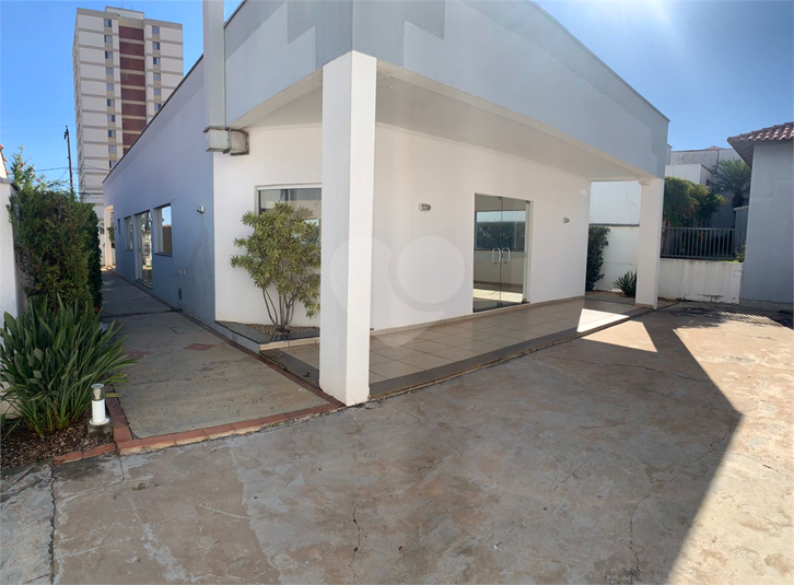 Foto REO1113400