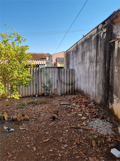 Foto REO1113402