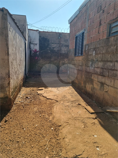 Foto REO1113402