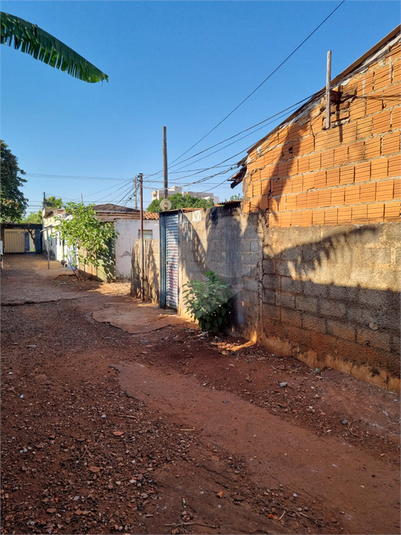 Foto REO1113402