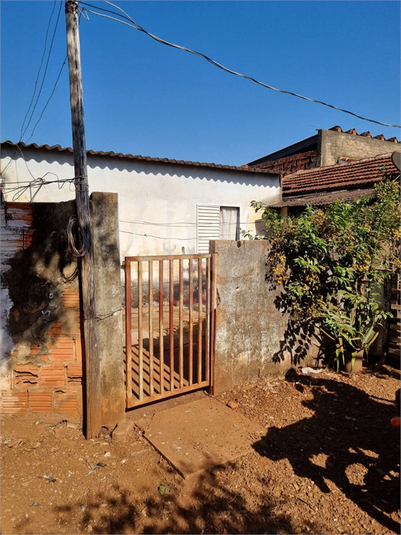 Foto REO1113402