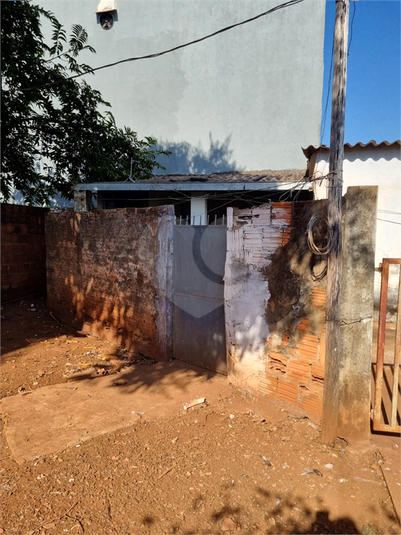 Foto REO1113402