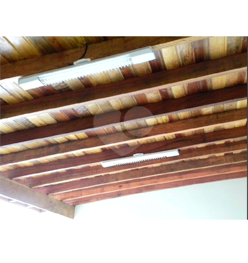 Foto REO1113409
