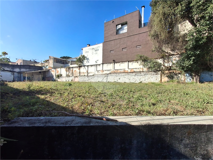 Foto REO1113419