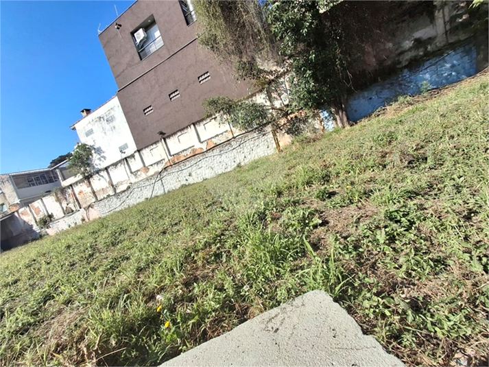 Foto REO1113419