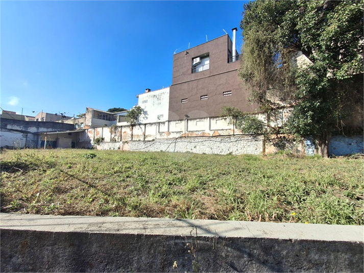 Foto REO1113419