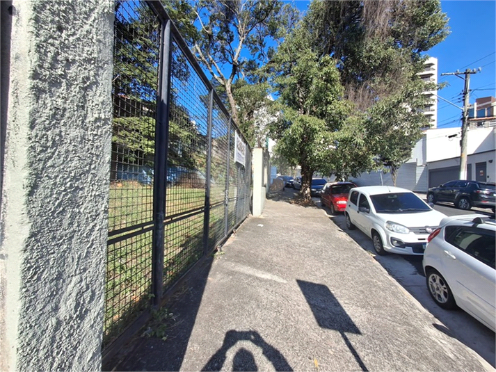 Foto REO1113419