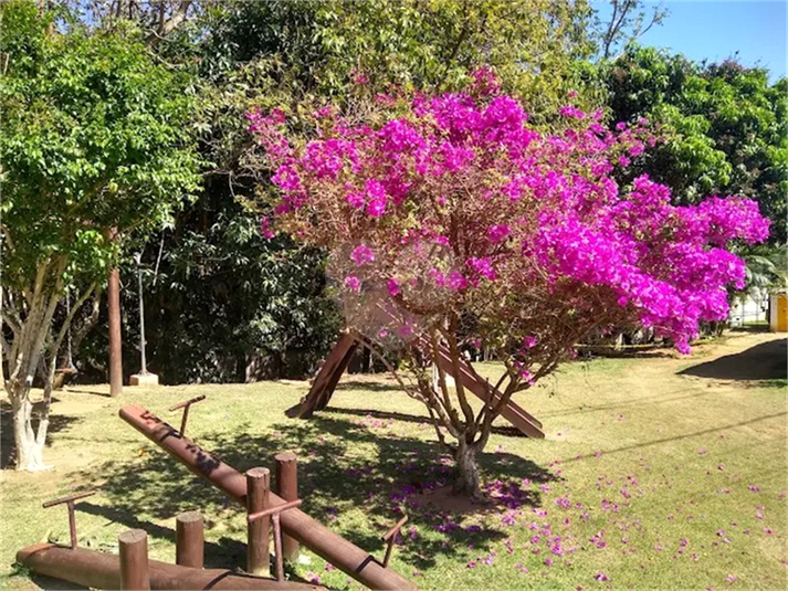 Foto REO1113424