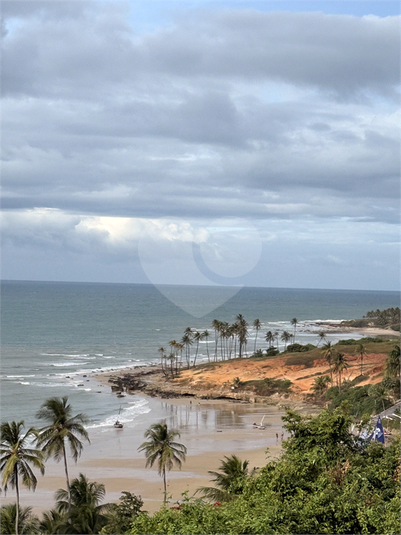 Foto REO1113425