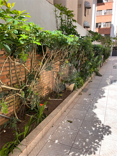 Foto REO1113431
