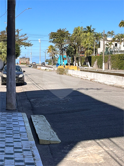 Foto REO1113431