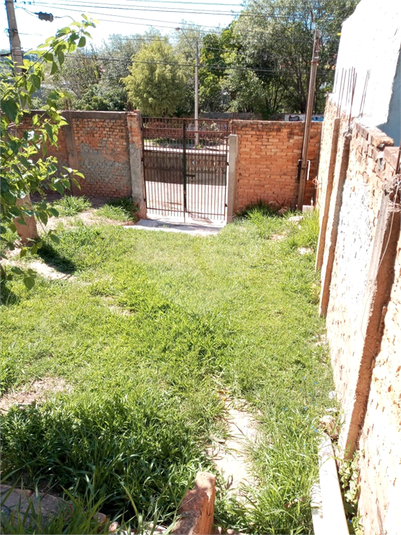 Foto REO1113438