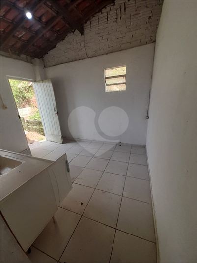 Foto REO1113438