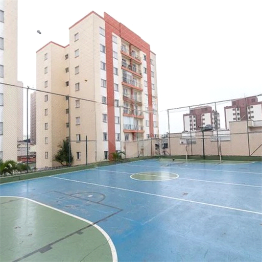 Foto REO1113441